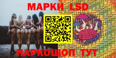a pvp Кунгур